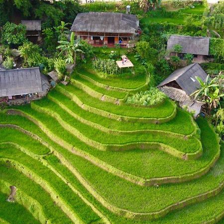 My'S Homestay Sapa المظهر الخارجي الصورة
