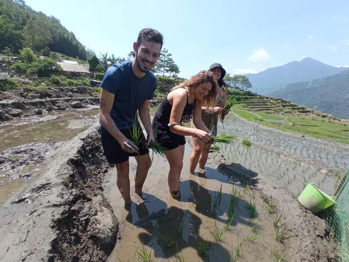 My'S Homestay Sapa المظهر الخارجي الصورة