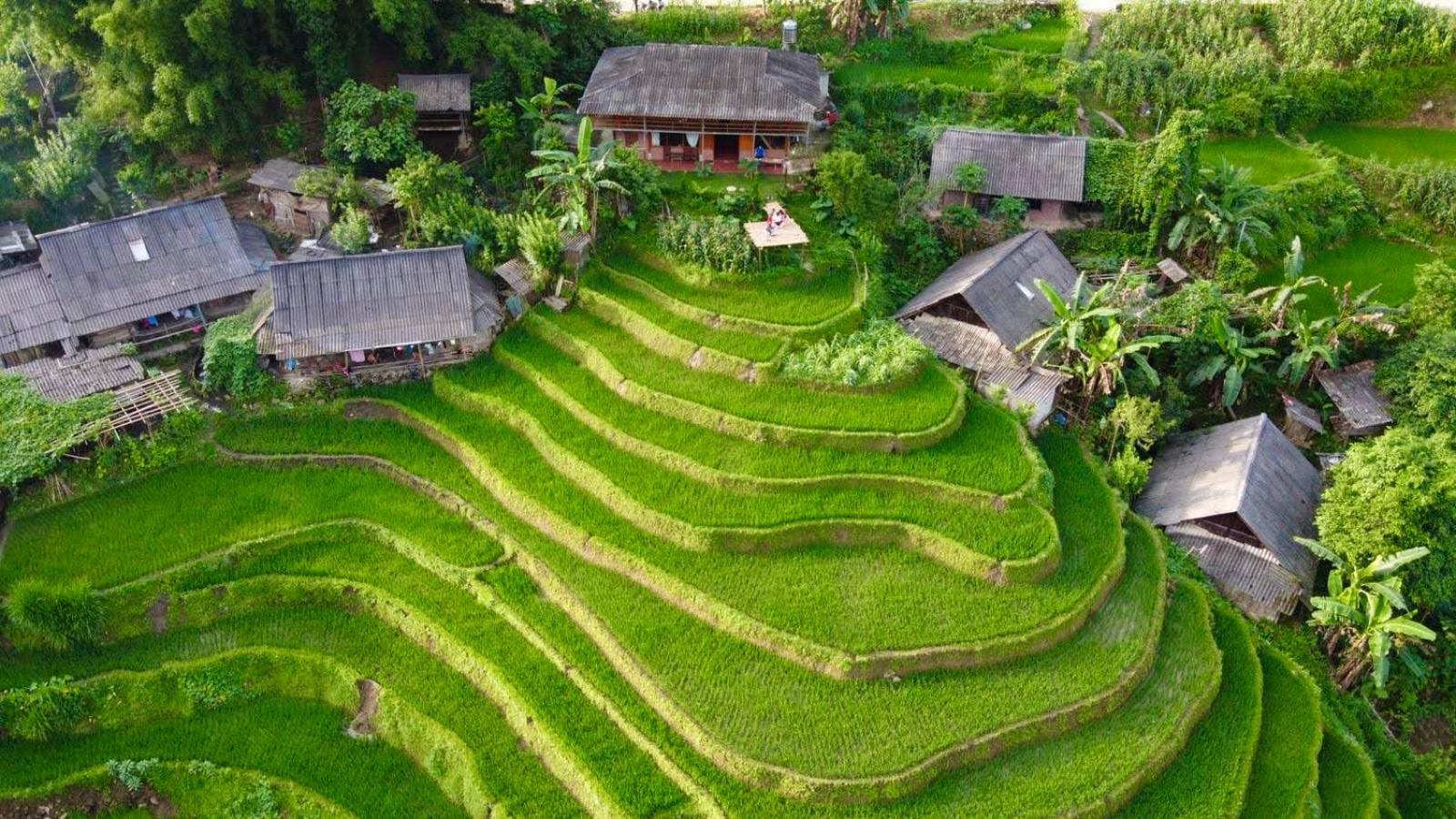 My'S Homestay Sapa المظهر الخارجي الصورة