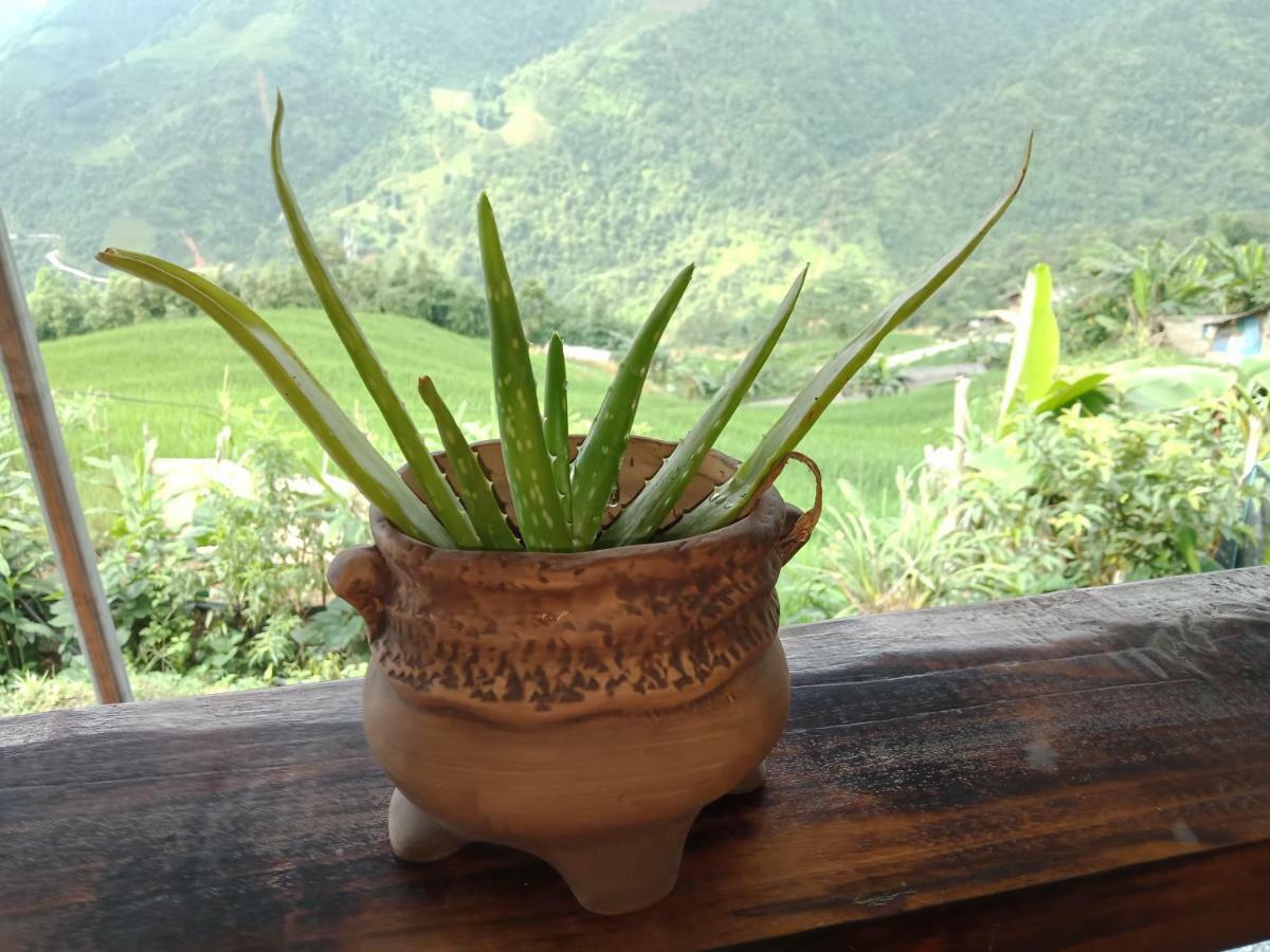 My'S Homestay Sapa المظهر الخارجي الصورة